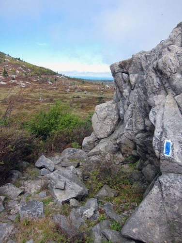 Picture 30 of Mt Rogers and Wilburn Ridge Hike 092514
