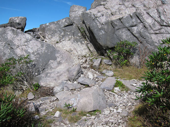 Picture 32 of Mt Rogers and Wilburn Ridge Hike 092514