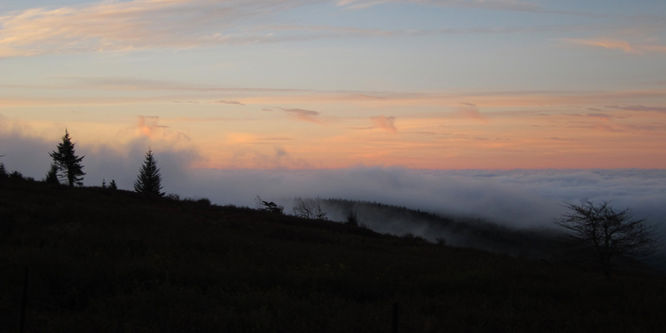 Picture 41 of Mt Rogers and Wilburn Ridge Hike 092514