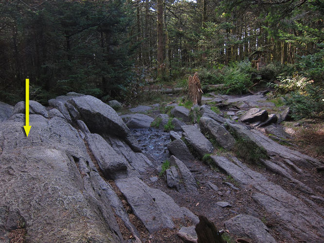 Picture 42 of Mt Rogers and Wilburn Ridge Hike 092514