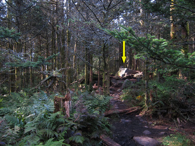 Picture 43 of Mt Rogers and Wilburn Ridge Hike 092514