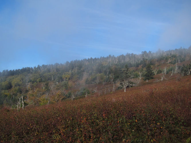 Picture 44 of Mt Rogers and Wilburn Ridge Hike 092514
