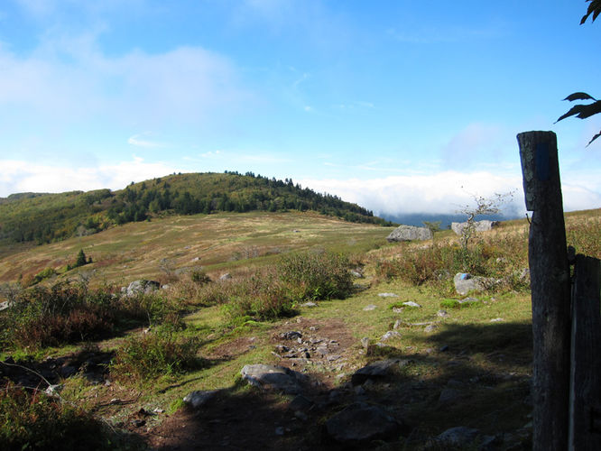 Picture 45 of Mt Rogers and Wilburn Ridge Hike 092514