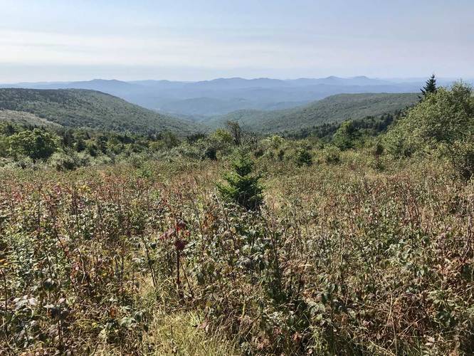 Appalachian Trail to Mount Rogers