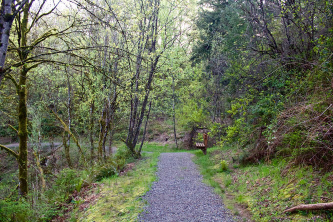Picture 3 of Mt Scott Nature Park Loop