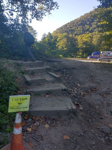 On this hike we had to watch out for snakes AND wasps