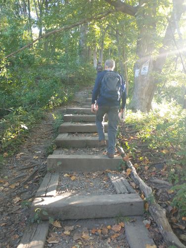 Up the wooden steps at the trailhead 