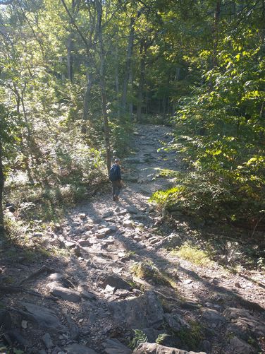 The trail continues to be rocky.Watch your step and be on the lookout for snakes.