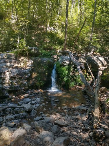 A view of one of the waterfalls along Dunnfield Creek.