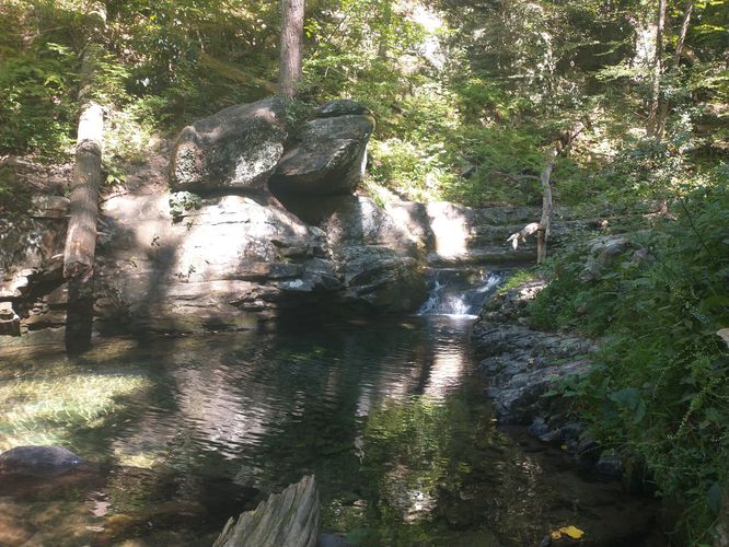 One of the pools created by the waterfalls of Dunnfield Creek.