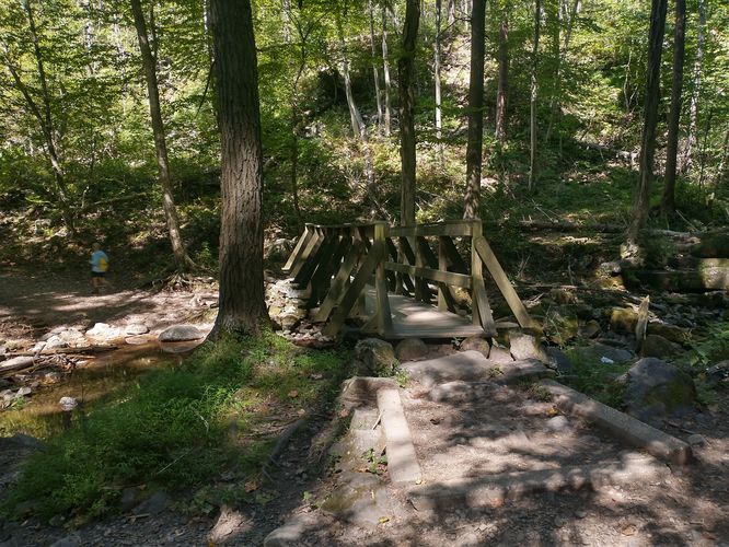 A sturdy wooden bridge to ease access over the Creek.