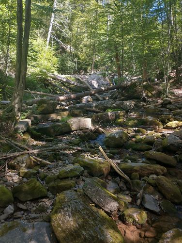 Evidence that large amounts of water have passed through this gorge.
