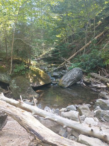 Another view of one of the beautiful pools along Dunnfield Creek.