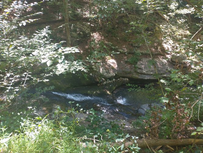 A view from the trail of the gorge created by water that has passed through this gorge for eons.