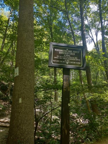 Rules posted for visiting the waterfalls at Dunnfield Creek.