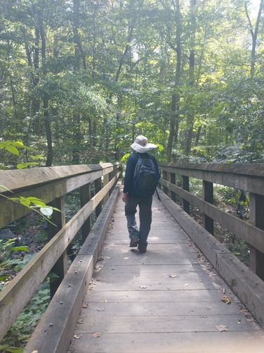 This sturdy wooden bridge will lead you back tot he parking area to end your loop hike.