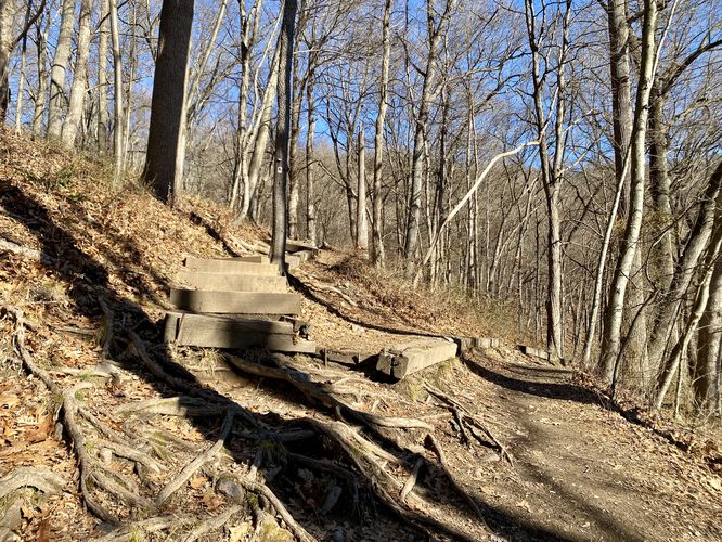 Staircase left-hand turn for Mt. Tammany Trail