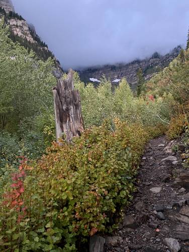 Early morning hike into the Mt. Timpanogos valley