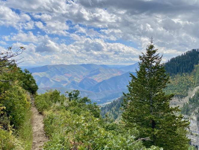 Stunning view of distant mountains from the Mt. Timpanogos Trail