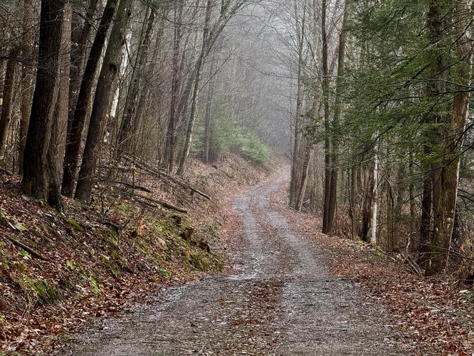 Mt. Tom Service Road to Vista Trail - Mt Tom April 2 2026 album