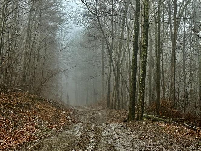 Picture 2 of Mt Tom April 2 2026