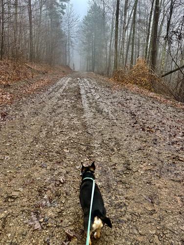 Picture 3 of Mt Tom April 2 2026