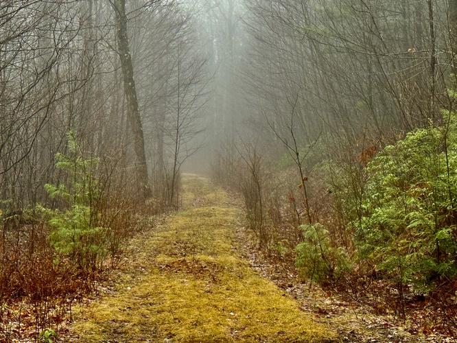 Picture 4 of Mt Tom April 2 2026