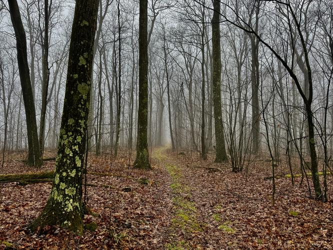 Picture 5 of Mt Tom April 2 2026