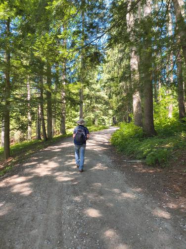 Carriage Road leads to the junction of the Precipice Trail 