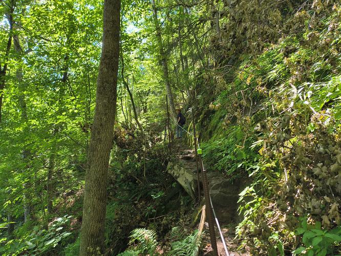 Handrail to assist along Precipice Trail 