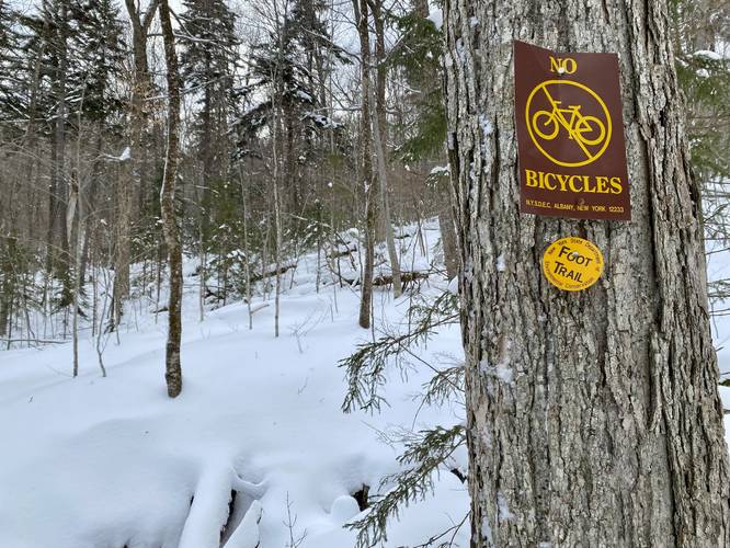 Yellow blazes of the Mt. Van Hoevenberg Trail (no biking)