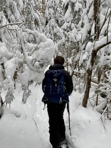 Dave snowshoeing through the winter wonderland of the Mt. Van Hoevengberg Trail