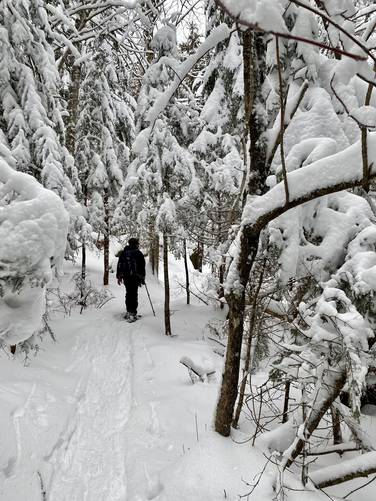 Dave snowshoeing through the winter wonderland of the Mt. Van Hoevengberg Trail