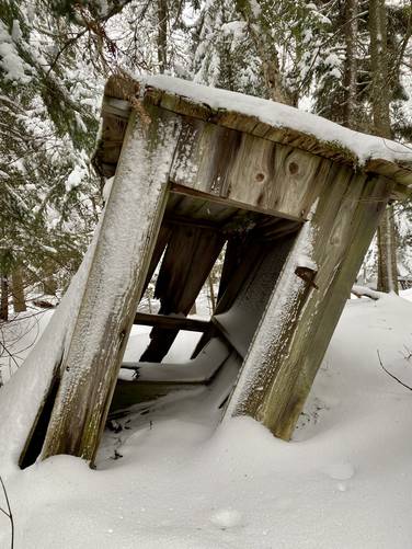 Abandoned outhouse