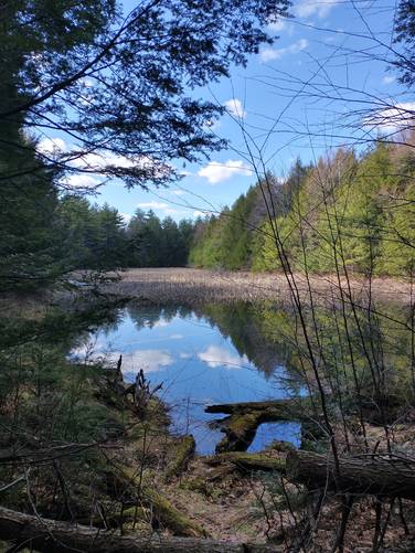 One of the two small ponds seen along the trail