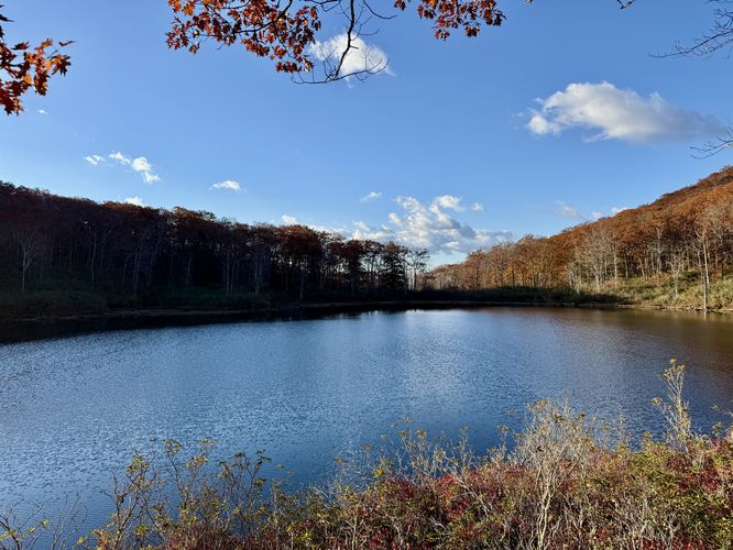 View of Indian Pond