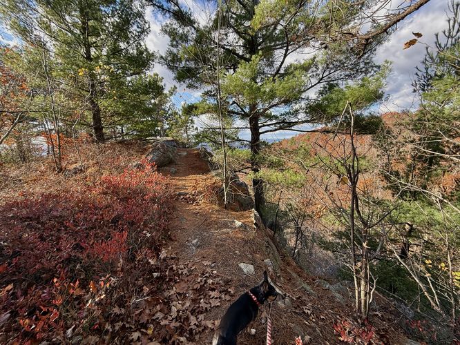 Picture 25 of Mt Wantastiquet