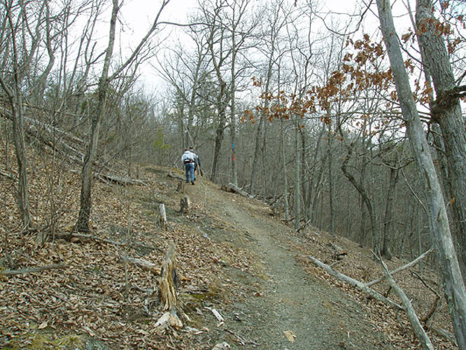 Picture 7 of Mudhole Gap Hike 022104