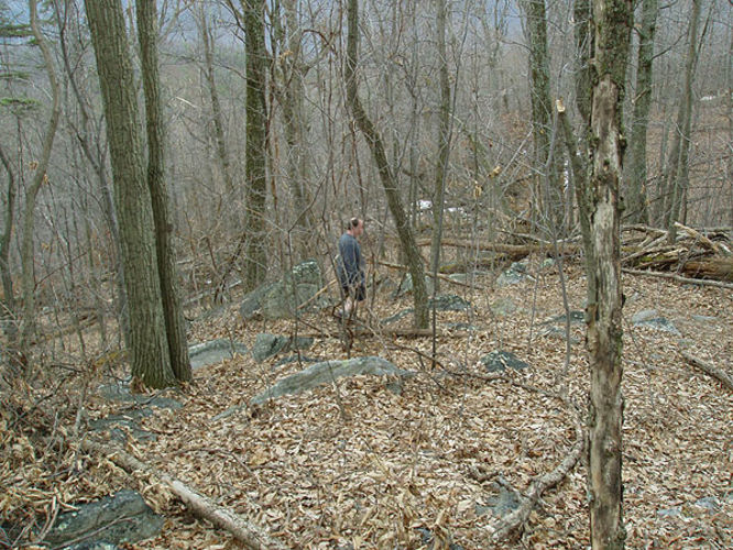 Picture 5 of Mudhole Gap Hike 022104