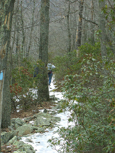 Picture 11 of Mudhole Gap Hike 022104