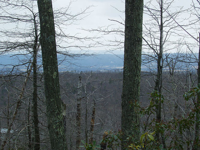 Picture 13 of Mudhole Gap Hike 022104