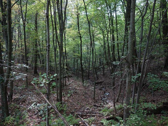 Picture 40 of Mudhole Gap Hike 092318