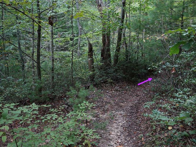 Picture 43 of Mudhole Gap Hike 092318