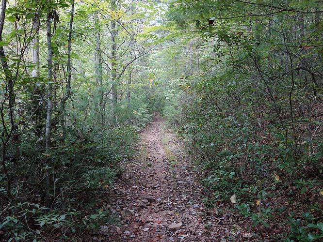 Picture 44 of Mudhole Gap Hike 092318