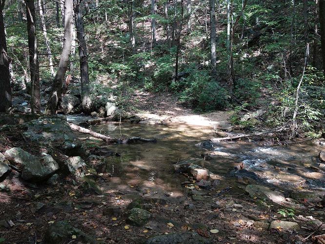 Picture 32 of Mudhole Gap Hike 092318