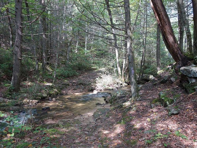Picture 34 of Mudhole Gap Hike 092318