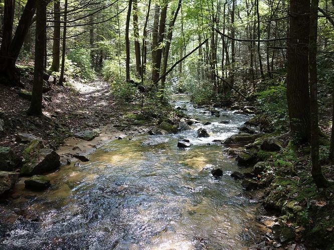 Picture 35 of Mudhole Gap Hike 092318