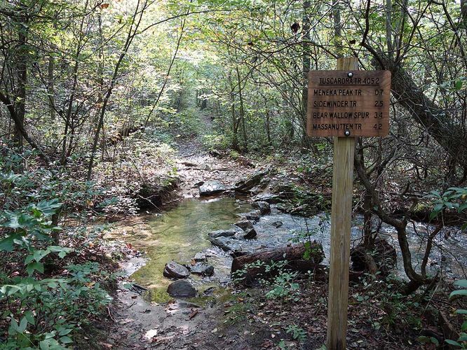 Picture 6 of Mudhole Gap Hike 092318