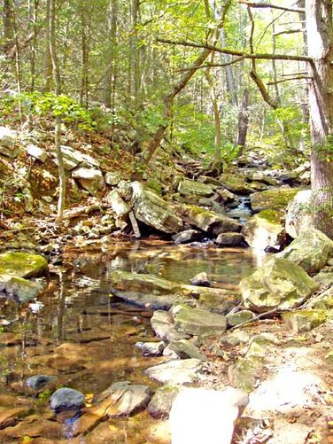 Mudhole Gap Hike - Mudhole Gap Hike 100105 album