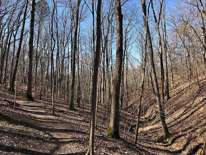 Picture 4 of Murphy Chambers Farm Hike 022320